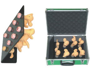 上海宸博宮頸病變與子宮病變教學模型 精準醫療教育的得力助手