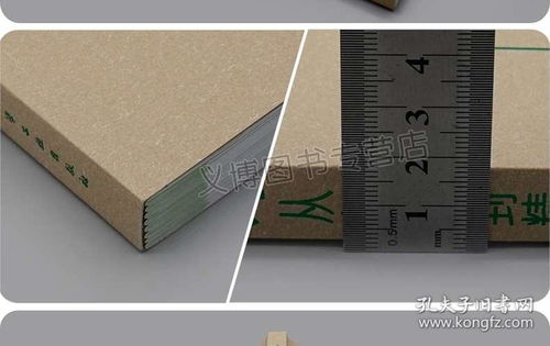 陳列設計全攻略 從色彩搭配到職業認證